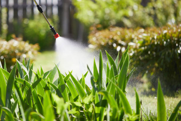 24/7 Emergency Cockroach Control experts in Mesquite, NV