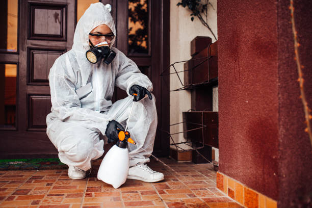 Reliable Cockroach Control contractor in Mesquite, NV by Nex Pest Control